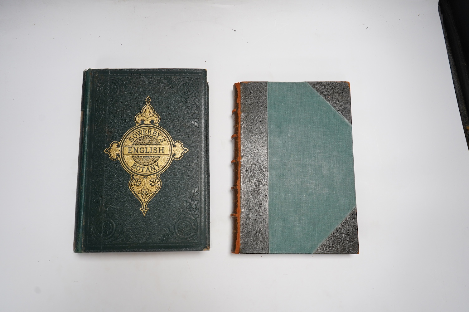 Sowerby, John & Others - English Botany; or Coloured Figures of British Plants ... 3rd Edition, enlarged ... and entirely revised by John T. Boswell Syme. with some 1800 hand coloured lithographed plates; vols.1-11 origi